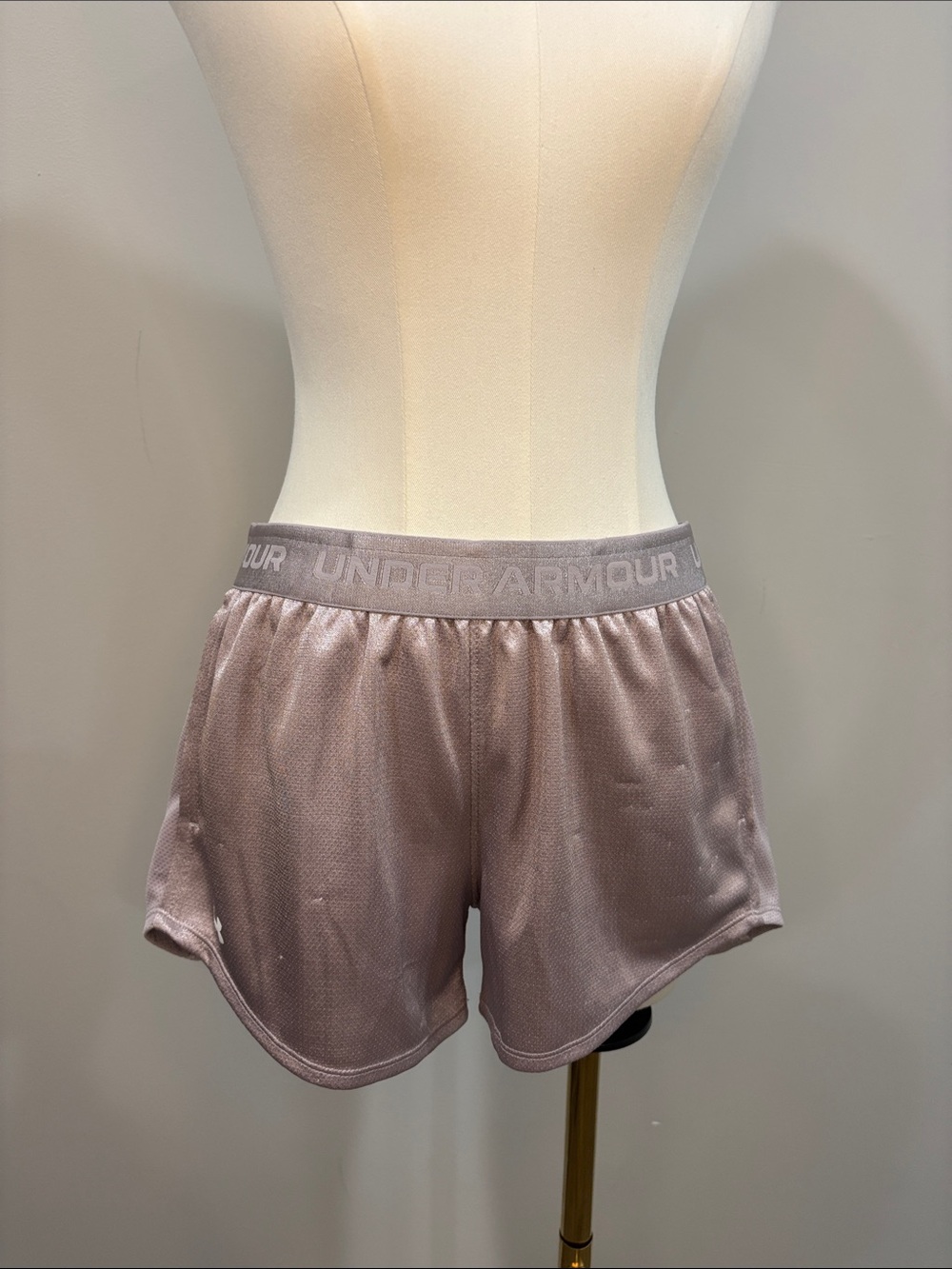 Under Armour Shorts Small Metallic Purple